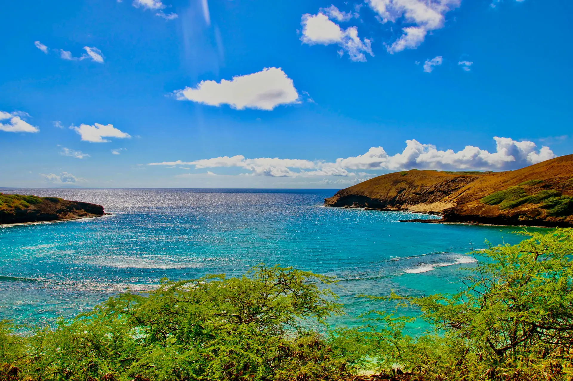 Tuyệt Chiêu Săn Vé Máy Bay Lễ Tết & Các Dịp Cao Điểm Cùng Du Lịch Trẻ